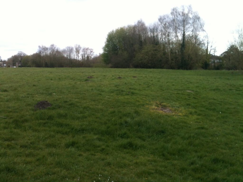 Portway Lane field