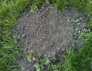 Raked molehill