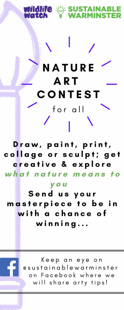 Art contest poster